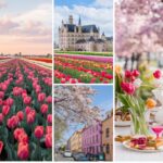 Europe in Bloom