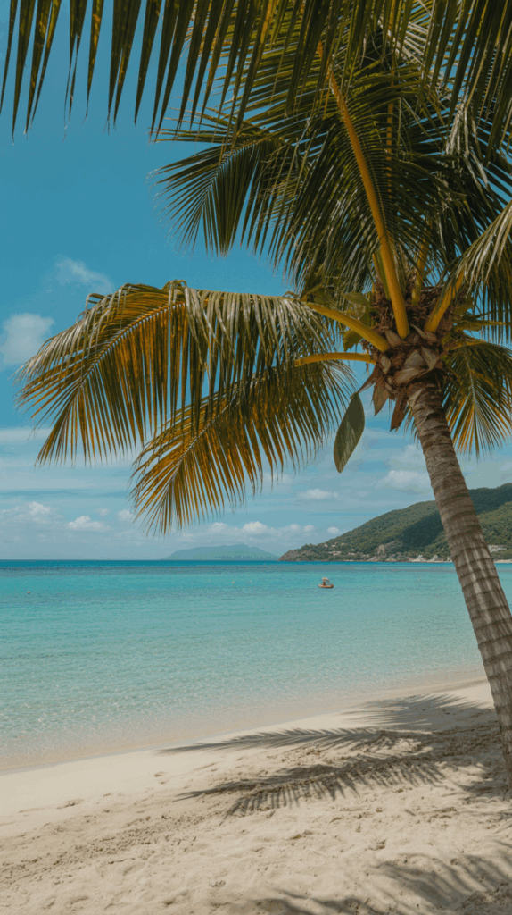 Where Is It Warm Right Now The Ultimate Month-by-Month Destination Guide. When you dream about escaping to warm weather